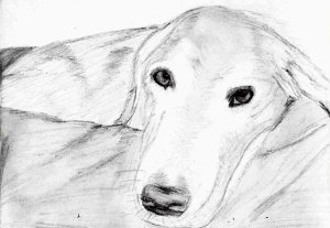 Little Brother (sketch)